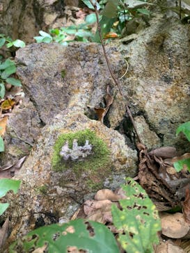 アスムイハイクスに投稿された画像（2020/7/24）