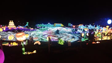 伊豆ぐらんぱる公園に投稿された画像（2020/7/24）