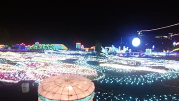 伊豆ぐらんぱる公園に投稿された画像（2020/7/24）