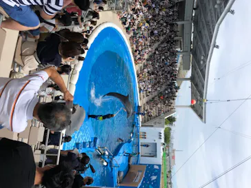 仙台うみの杜水族館に投稿された画像（2020/7/24）