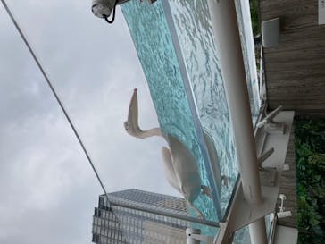 サンシャイン水族館に投稿された画像（2020/7/24）