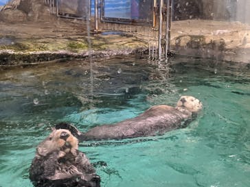 マリンワールド海の中道に投稿された画像（2020/7/24）