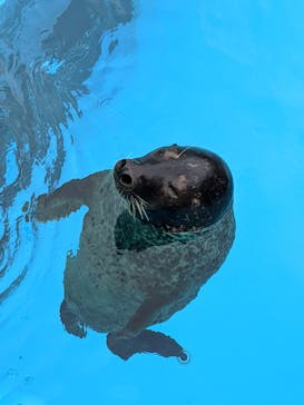 マリンワールド海の中道に投稿された画像（2020/7/24）