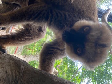 ネオパークオキナワに投稿された画像（2020/7/24）