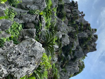 アスムイハイクスに投稿された画像（2020/7/24）