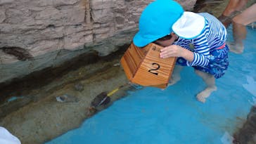 志摩市浜島磯体験施設 海ほおずきに投稿された画像（2020/7/24）