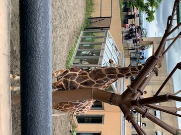 旭川市旭山動物園に投稿された画像（2020/7/24）