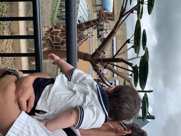 旭川市旭山動物園に投稿された画像（2020/7/24）