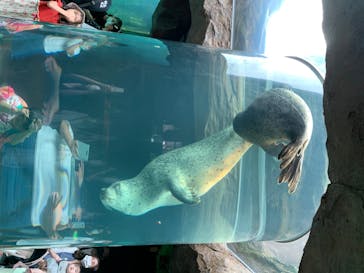 旭川市旭山動物園に投稿された画像（2020/7/24）