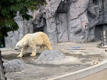 旭川市旭山動物園に投稿された画像（2020/7/24）