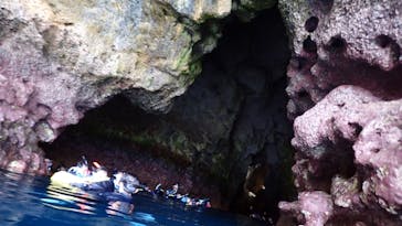 ダイビングショップ Sea Free（シーフリー）に投稿された画像（2020/7/24）