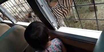 那須サファリパークに投稿された画像（2020/7/24）