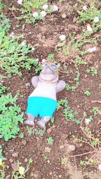 ニューヨークランプミュージアム＆フラワーガーデンに投稿された画像（2020/7/24）