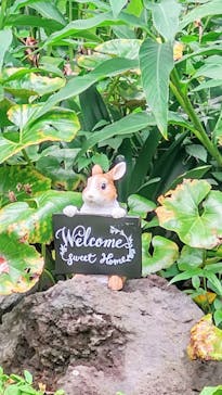 ニューヨークランプミュージアム＆フラワーガーデンに投稿された画像（2020/7/24）