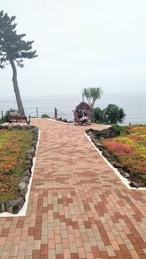 ニューヨークランプミュージアム＆フラワーガーデンに投稿された画像（2020/7/24）