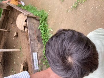 群馬サファリパークに投稿された画像（2020/7/24）