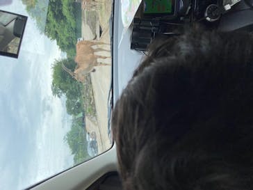 群馬サファリパークに投稿された画像（2020/7/24）