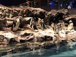 すみだ水族館に投稿された画像（2020/7/24）