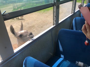 岩手サファリパークに投稿された画像（2020/7/24）