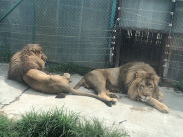 岩手サファリパークに投稿された画像（2020/7/24）