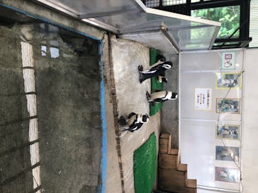 岩手サファリパークに投稿された画像（2020/7/24）