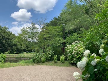 ふなばしアンデルセン公園に投稿された画像（2020/7/24）