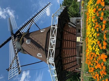 ふなばしアンデルセン公園に投稿された画像（2020/7/24）