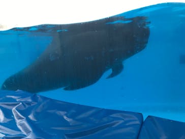 マリンワールド海の中道に投稿された画像（2020/7/24）