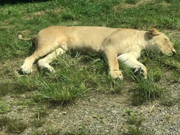 東北サファリパークに投稿された画像（2020/7/24）