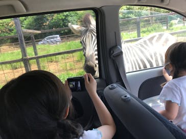 東北サファリパークに投稿された画像（2020/7/24）
