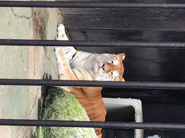 東北サファリパークに投稿された画像（2020/7/24）