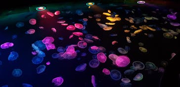 すみだ水族館に投稿された画像（2020/7/24）