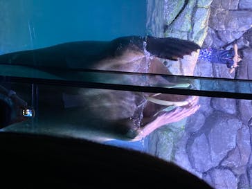 横浜・八景島シーパラダイスに投稿された画像（2020/7/24）