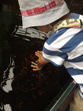 株式会社Gに投稿された画像（2020/7/24）