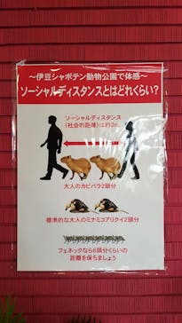 伊豆シャボテン動物公園に投稿された画像（2020/7/24）