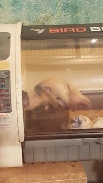 伊豆シャボテン動物公園に投稿された画像（2020/7/24）