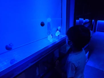 すみだ水族館に投稿された画像（2020/7/24）