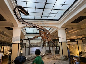 国立科学博物館に投稿された画像（2020/7/24）