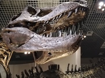 国立科学博物館に投稿された画像（2020/7/24）