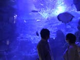 京都水族館に投稿された画像（2020/7/24）