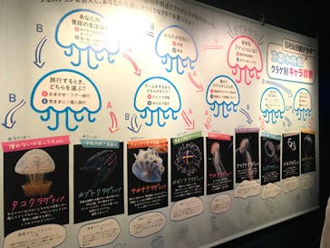 京都水族館に投稿された画像（2020/7/24）