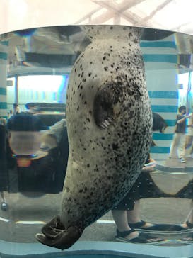 京都水族館に投稿された画像（2020/7/24）