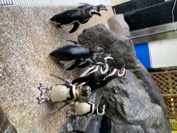 株式会社Gに投稿された画像（2020/7/24）