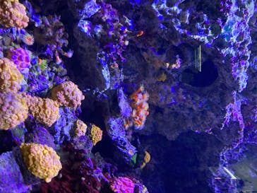 株式会社Gに投稿された画像（2020/7/24）