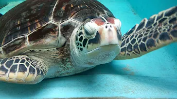 仙台うみの杜水族館に投稿された画像（2020/7/24）