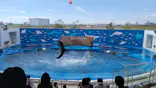 仙台うみの杜水族館に投稿された画像（2020/7/25）