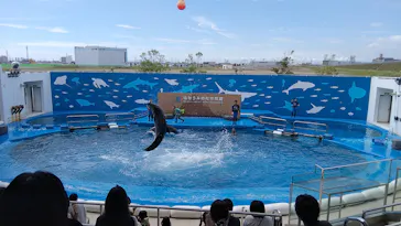 仙台うみの杜水族館に投稿された画像（2020/7/24）