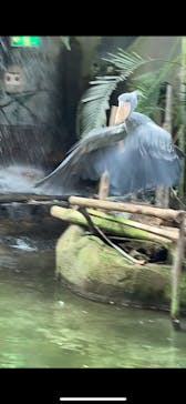 那須どうぶつ王国に投稿された画像（2020/7/24）