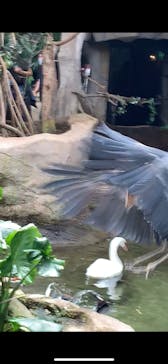 那須どうぶつ王国に投稿された画像（2020/7/24）