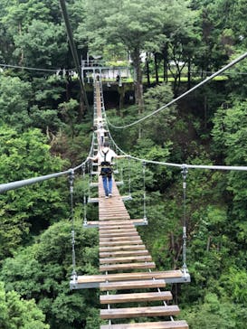 秩父Geo Gravity Park（ジオグラビティーパーク）に投稿された画像（2020/7/25）